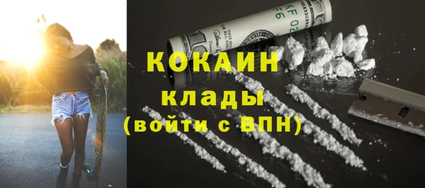 гашик Алексеевка