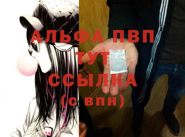 гашик Алексеевка