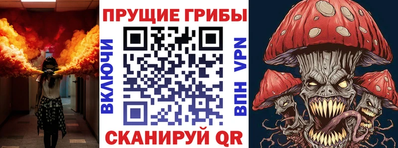 Псилоцибиновые грибы Cubensis  MEGA маркетплейс  Суджа 